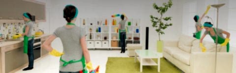 Nescleaner Temizlik Sitesi